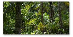 Fotoobraz na skle tropický les osh-65033935