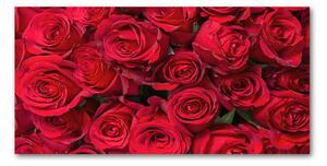 Fotoobraz na skle červené ruže osh-67561194