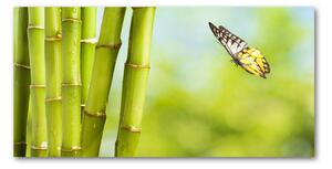 Foto obraz sklo tvrzené Bambus a motýľ osh-69817087