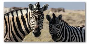 Fotoobraz na skle dve zebry osh-70684470