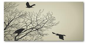 Moderný sklenený obraz z fotografie Vrany na strome
