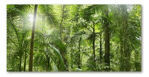 Foto obraz sklo tvrzené tropický les osh-72098525