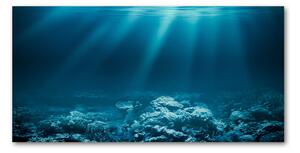 Foto obraz sklo tvrzené podvodný svet osh-72237890