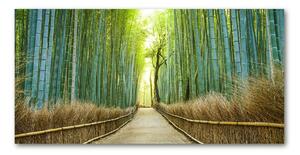 Fotoobraz na skle bambusový les osh-72519653