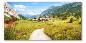 Foto obraz sklenený horizontálny Pasienok v Alpách