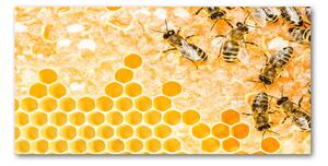Fotoobraz na skle pracujúci včely osh-74378590