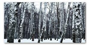 Fotoobraz na skle brezy zima osh-76031939
