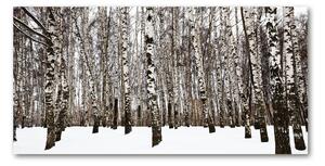 Fotoobraz na skle brezy zima osh-76031921
