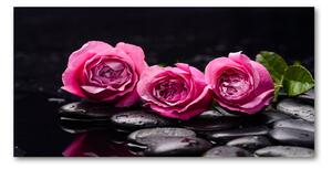 Foto obraz sklo tvrzené ružové ruže osh-77048055