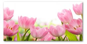 Foto obraz sklenený horizontálny ružové tulipány
