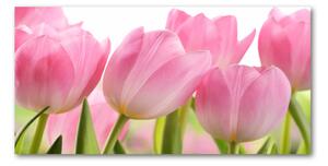 Fotoobraz na skle ružové tulipány osh-76775867