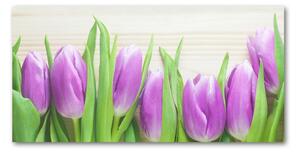 Foto obraz fotografie na skle fialové tulipány