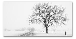 Foto obraz sklo tvrzené strom zima osh-80032038