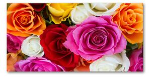 Foto obraz sklo tvrzené farebné ruže osh-81514733