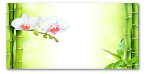 Fotoobraz na skle Orchidea a bambus osh-82165838