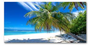 Foto obraz sklo tvrzené tropická pláž osh-82585815
