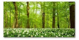 Foto obraz sklenený horizontálny Kvety v lese osh-83235444