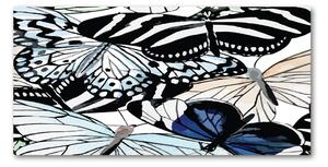 Foto obraz fotografie na skle Motýle a kvety osh-85755564