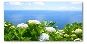 Foto obraz sklo tvrzené Kvety nad morom osh-87726143