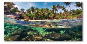 Fotoobraz na skle tropická pláž osh-90407162