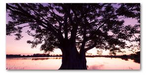 Foto-obraz fotografie na skle Stromy a jazero osh-90878216