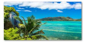 Foto obraz fotografie na skle pobrežie Seychely