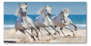 Foto-obraz na skle Biele kone pláž osh-95257914