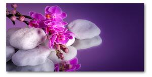 Foto obraz sklo tvrzené orchidea osh-95985496