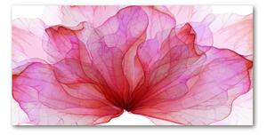 Foto obraz sklo tvrzené ružová kvetina osh-98648030