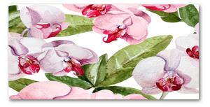 Fotoobraz na skle ružové orchidey osh-98952398