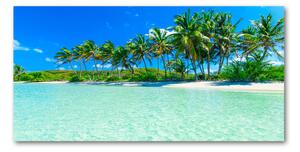 Foto obraz sklo tvrzené tropická pláž osh-99365379