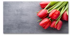 Foto obraz fotografie na skle červené tulipány