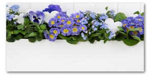Foto obraz sklo tvrzené modré kvety osh-99973378