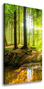 Vertikálny foto obraz na plátne Slnko v lese ocv-101332192