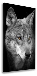 Vertikálny foto obraz na plátne Portrét vlka