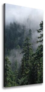 Vertikálny foto obraz na plátne Hmla nad lesom