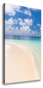 Vertikálny foto obraz na plátne Pláž Malediny