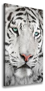 Vertikálny foto obraz canvas Biely tiger ocv-104866855