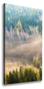 Vertikálny fotoobraz fotografie na plátne Hmla nad lesom