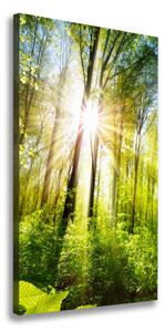 Vertikálny foto obraz na plátne Slnko v lese ocv-105833930