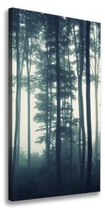 Vertikálny foto obraz canvas Hmla v lese ocv-106280644