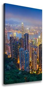 Vertikálny foto obraz na plátne Nočný Hongkong