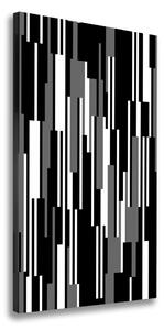Vertikálny foto obraz na plátne Čierno-biele línie