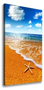 Vertikálny foto obraz na plátne Hviezdice na pláži
