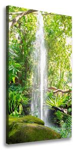 Vertikálny foto obraz na plátne Vodopád v džungli