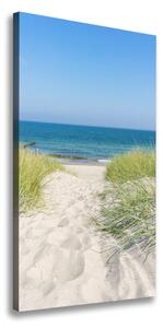 Vertikálny foto obraz na plátne Morské duny ocv-113707111