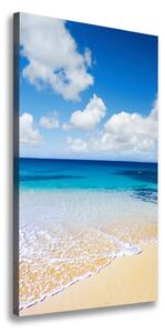 Vertikálny foto obraz na plátne Tropická pláž