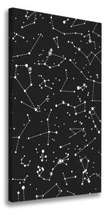 Vertikálny foto obraz canvas Hviezdokopa ocv-115489361