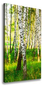 Vertikálny foto obraz canvas Brezový les ocv-116168372
