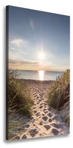 Vertikálny foto obraz na plátne Morské duny ocv-119215284